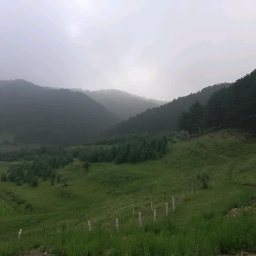 风车车