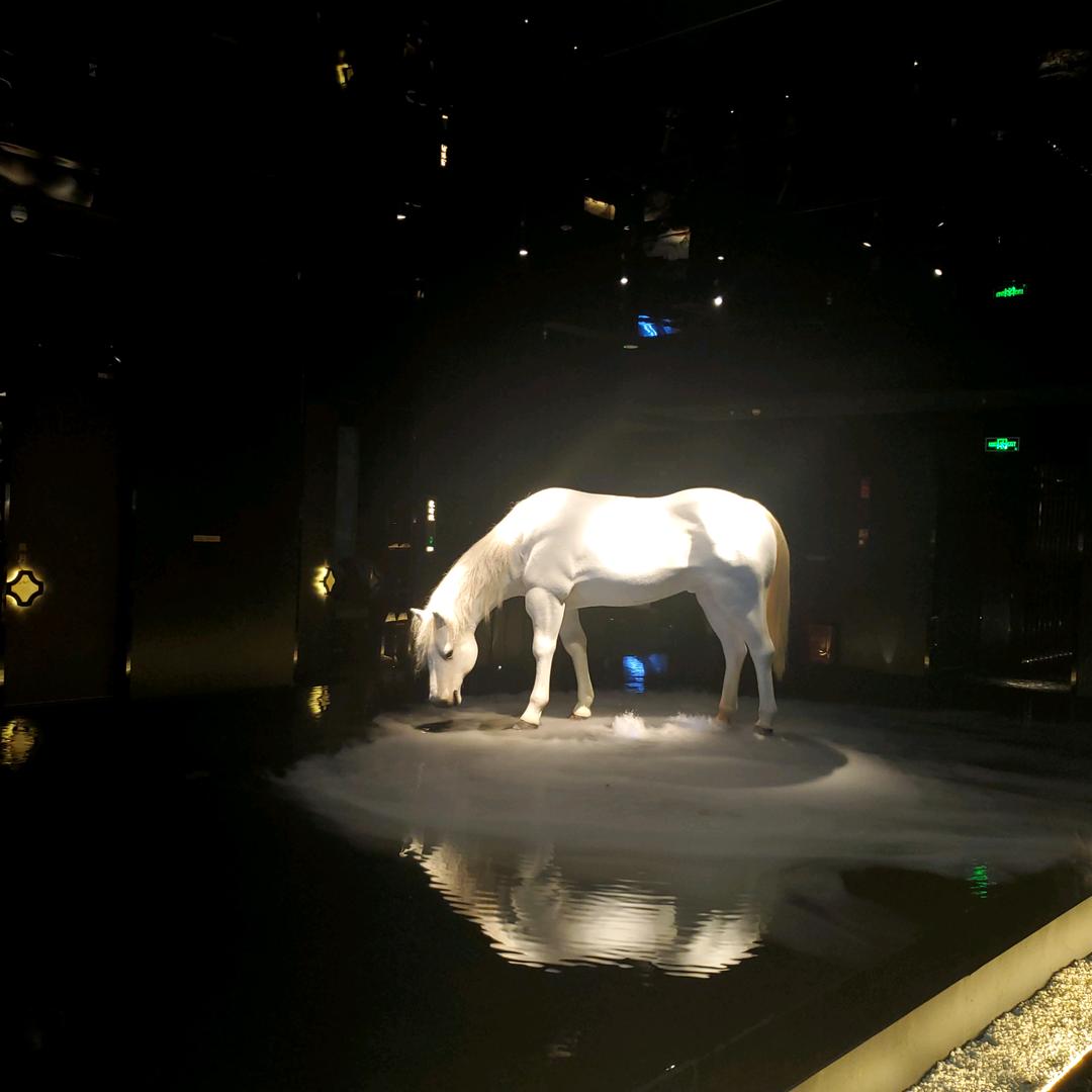 有缘人