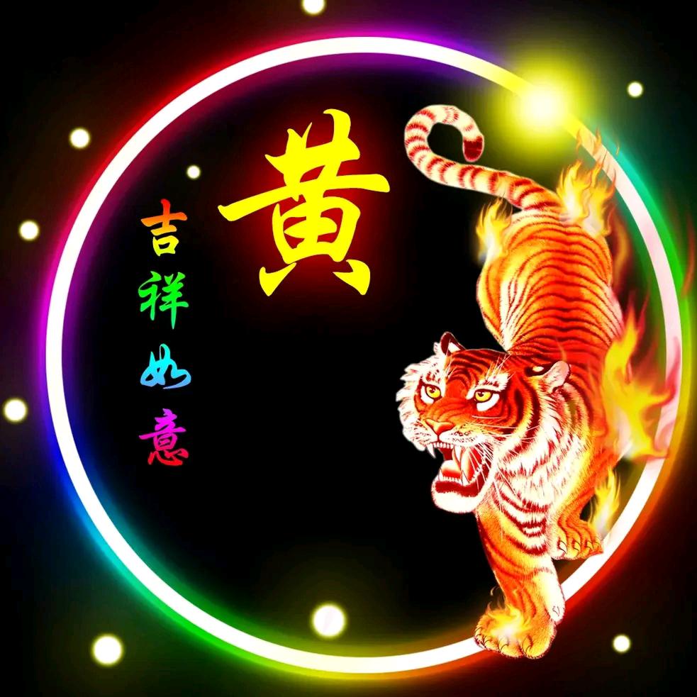 一拓辉煌（卓越成就）