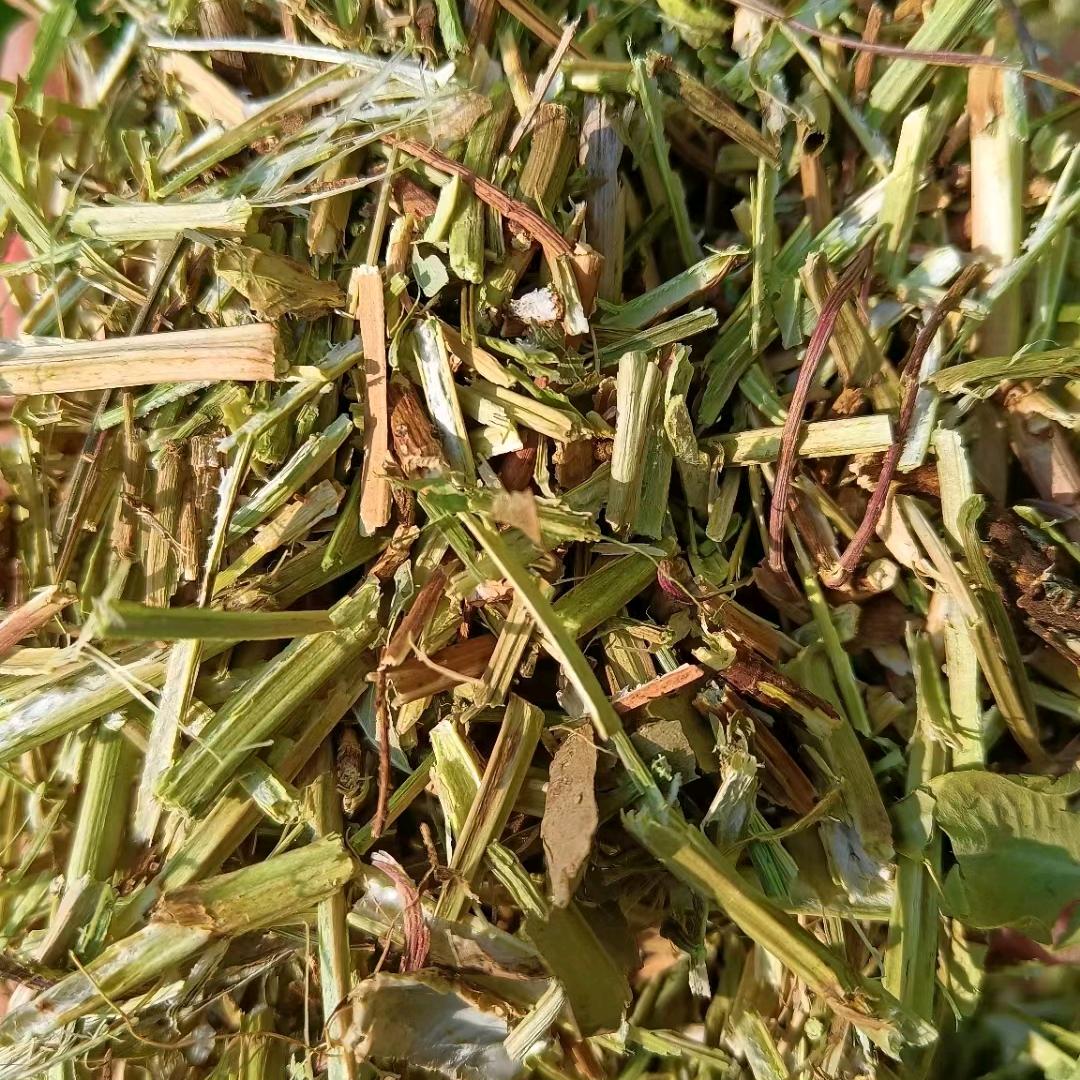 强哥牛羊草料