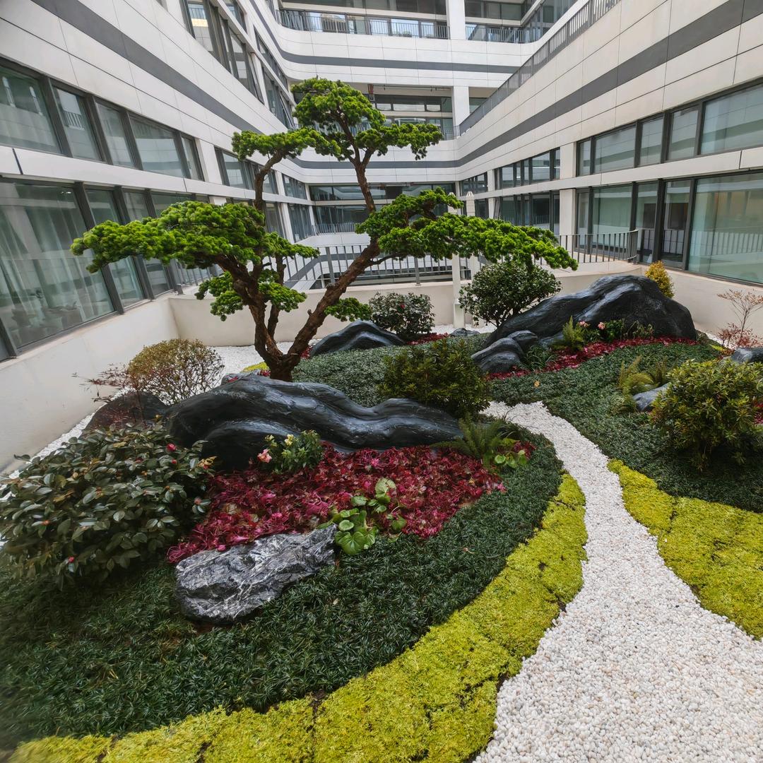 植愈时光