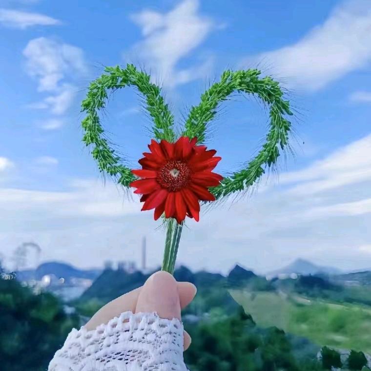 馨华房产刘青华