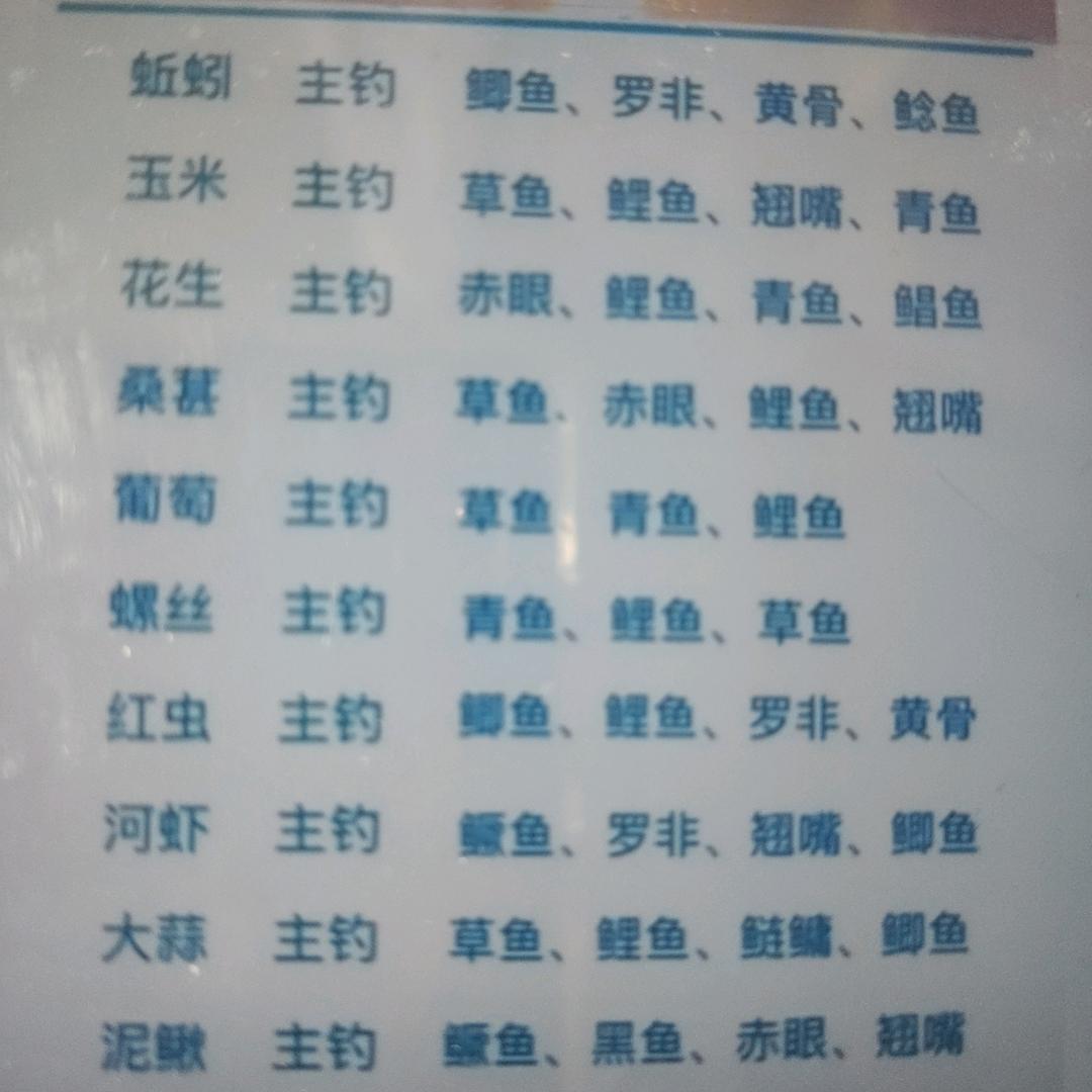 和鱼有一个约会（钓鱼佬）