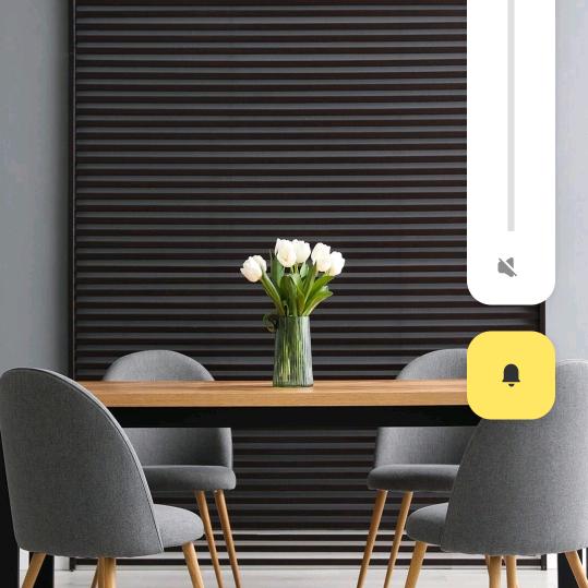 时光不老我们不散