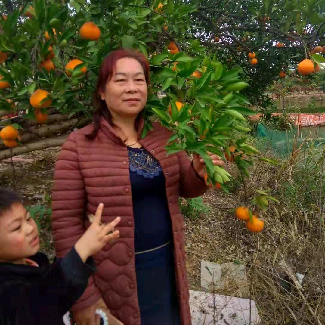 阳新龙港红娘：肖晓华