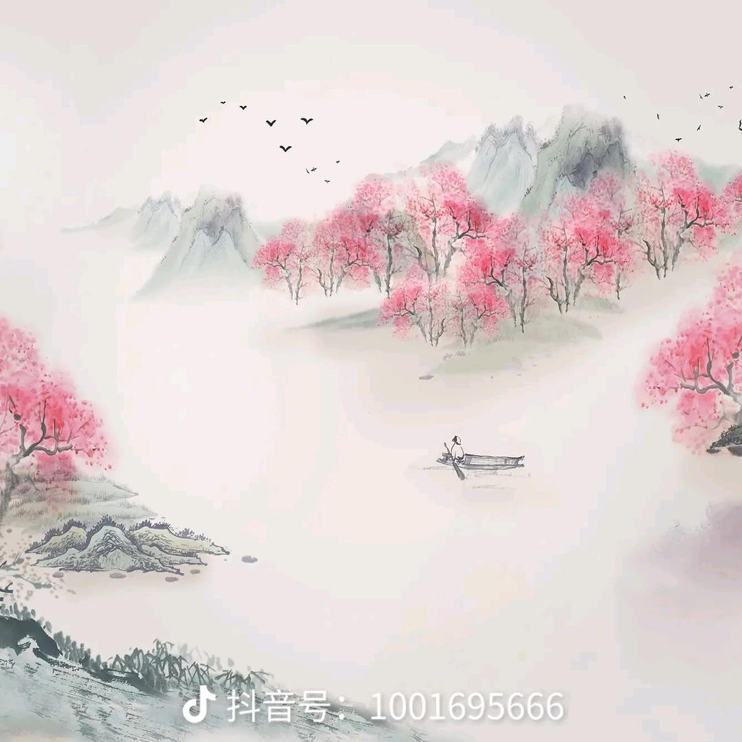 金诚老师小助理