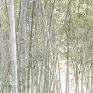 记录农村生活