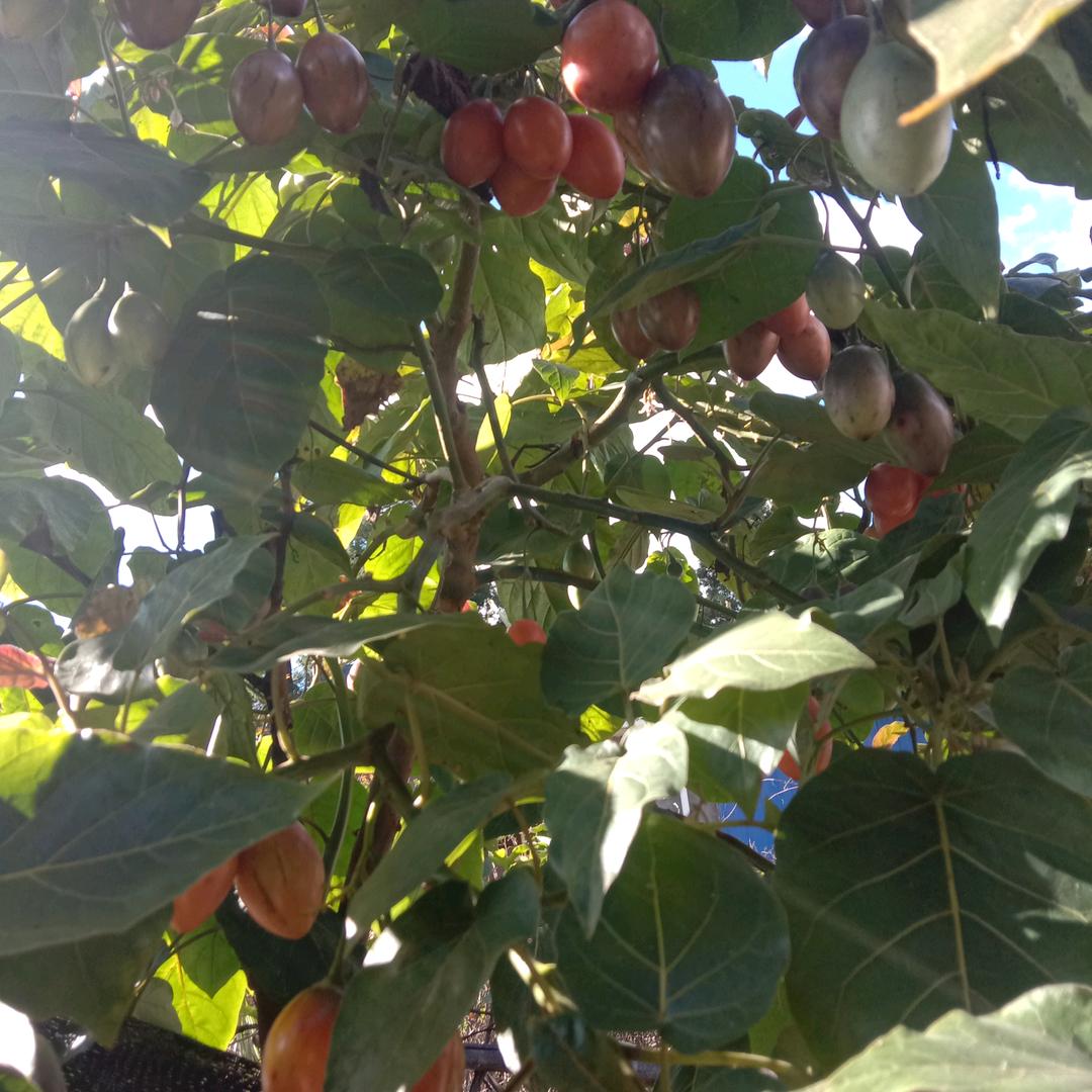 拥有回忆巜拒绝连赞》拉黑