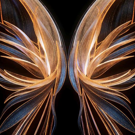 武定府调味品工厂店