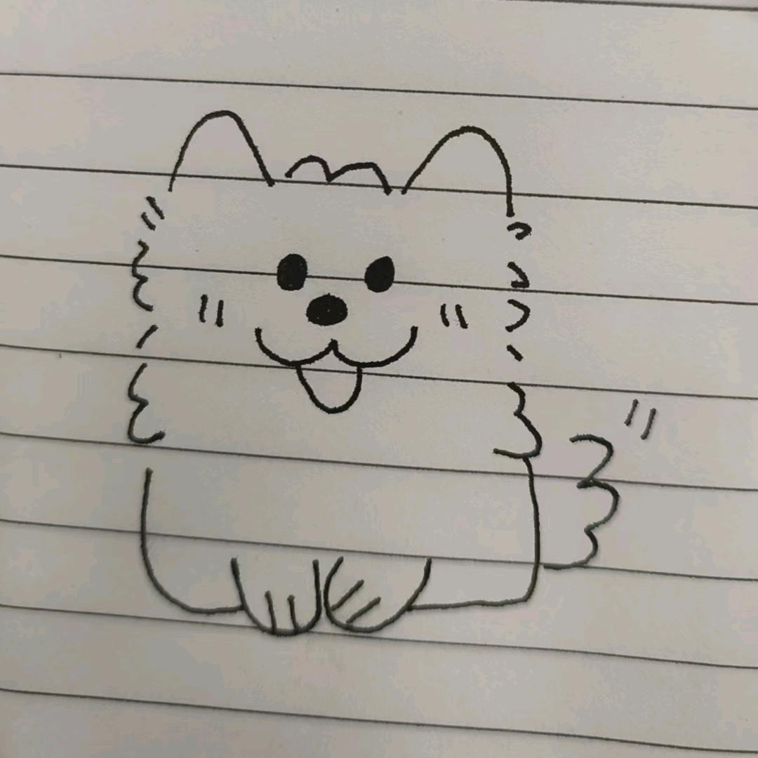 木禾言💧（硫酸钠版）