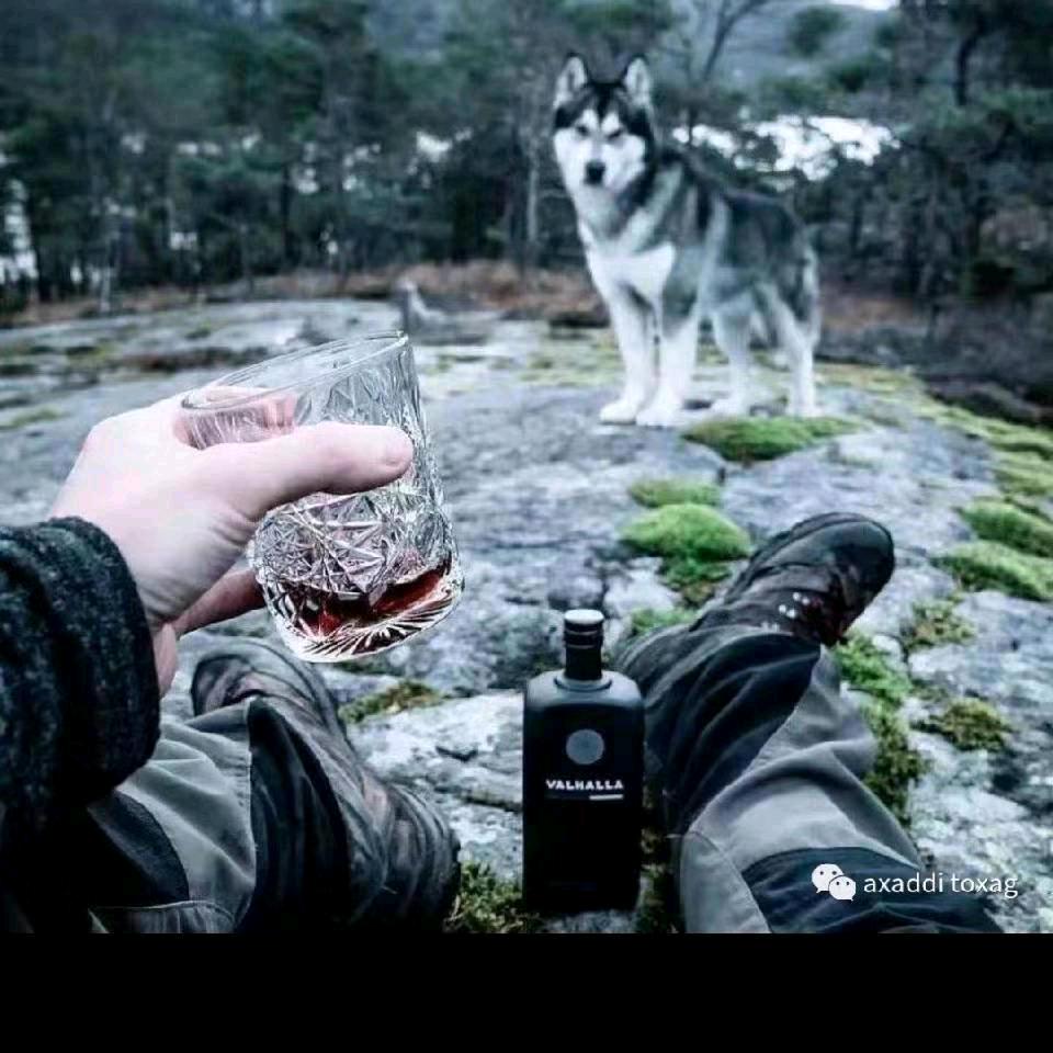 ༊྄ཻ ൢβàℜí~βíℜ ൢ࿐