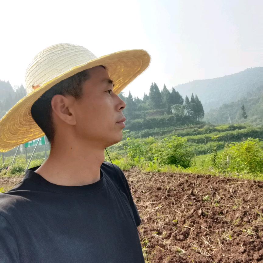 寻鄉希