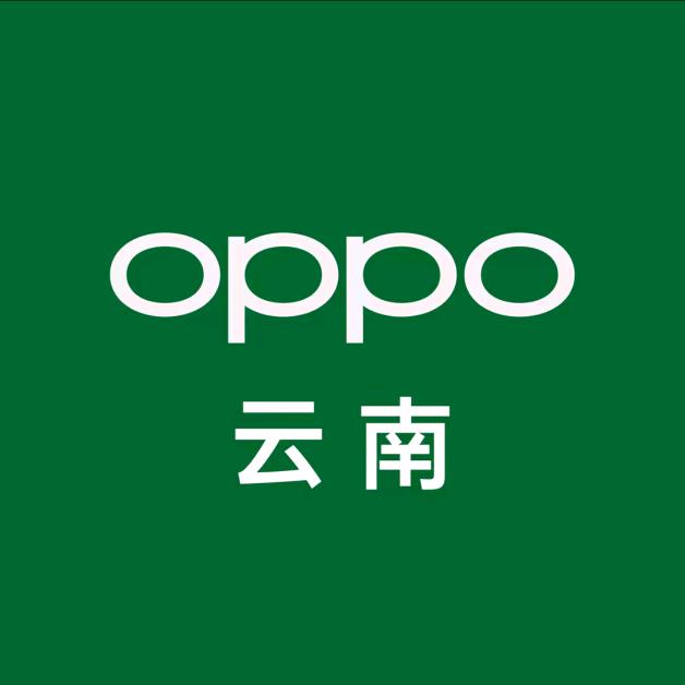 怒江OPPO体验店(六库店)