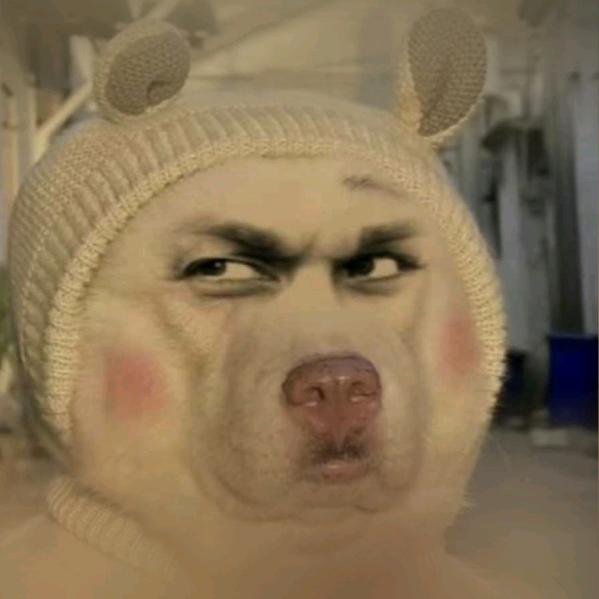 灰费的🐷