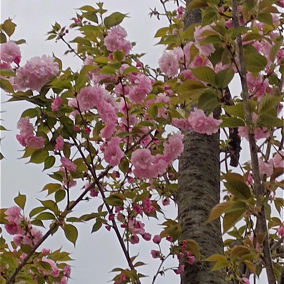 姐很拽🤔️🤔️