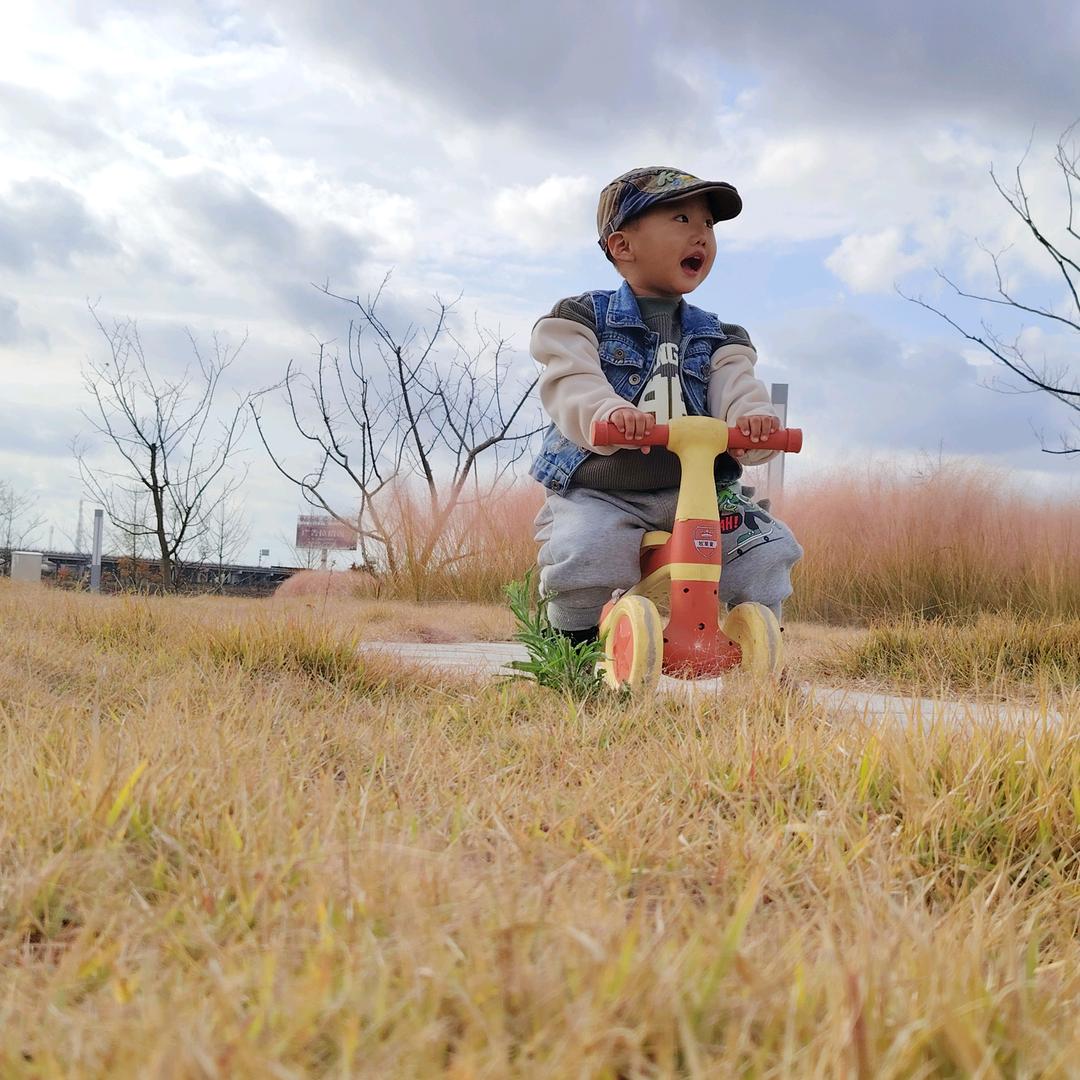 高傲の曼陀罗（有问题私信我）