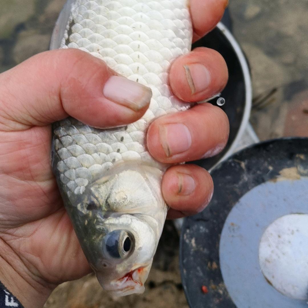 独坐河边钓时间