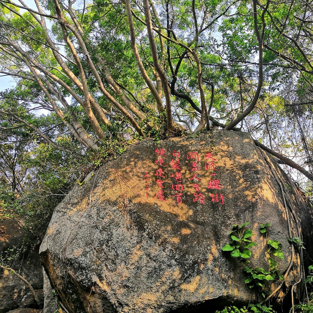 儿童椅百货零售