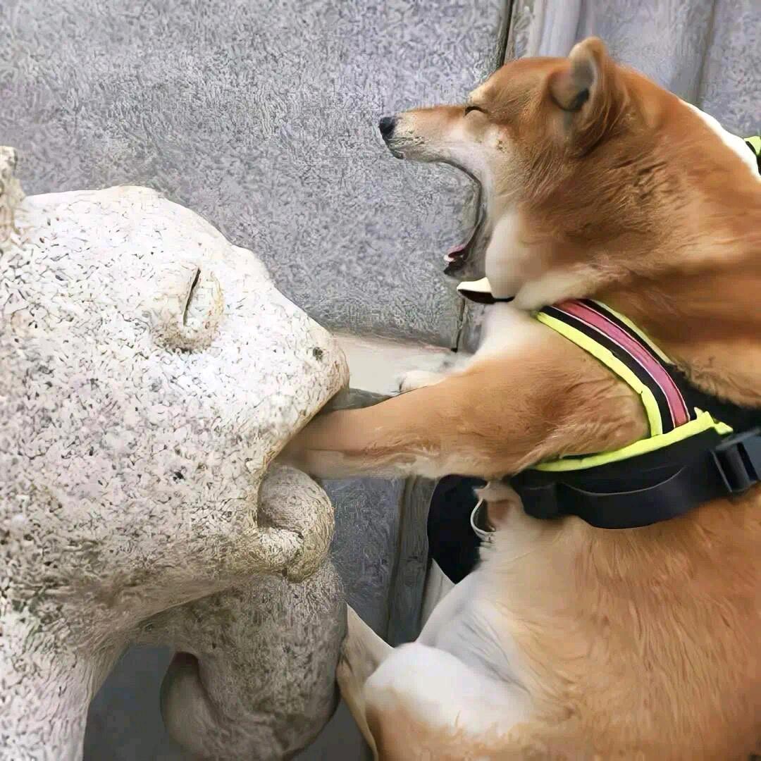 无敌铁头壮汉