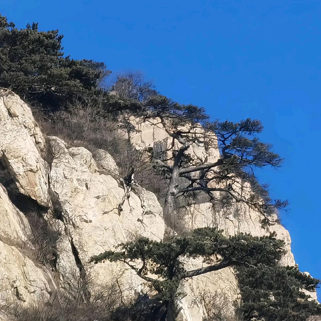 许你一世安宁