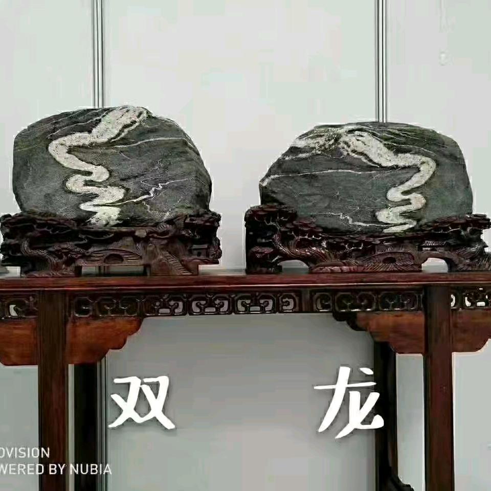 尚石泰哥