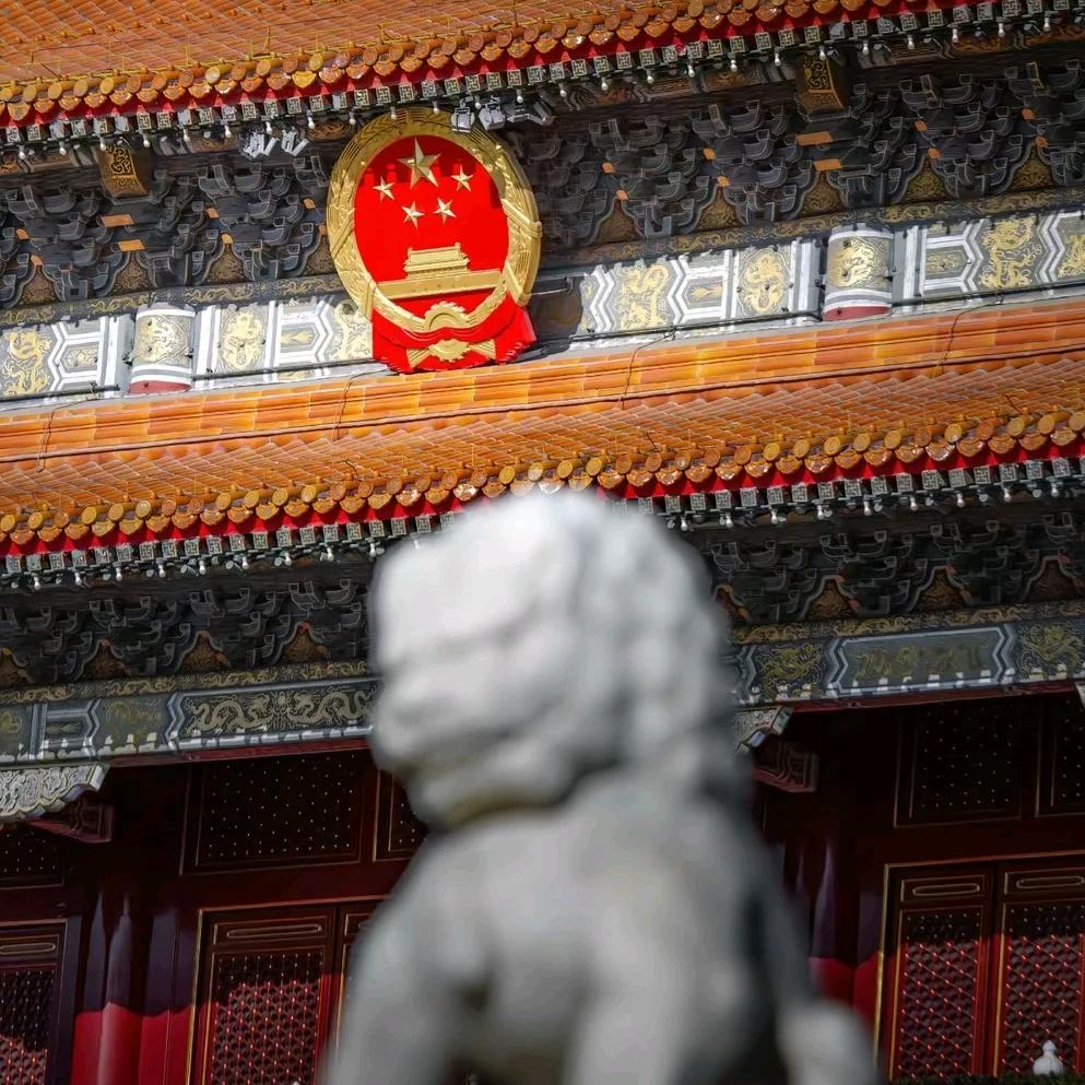 重生在山西收证书🐂