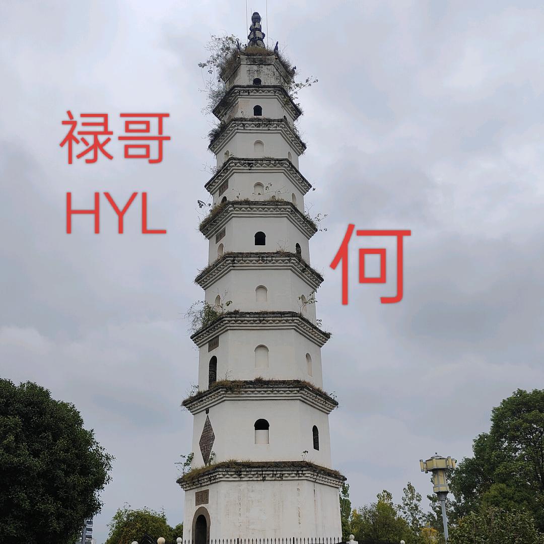 禄哥 HYL