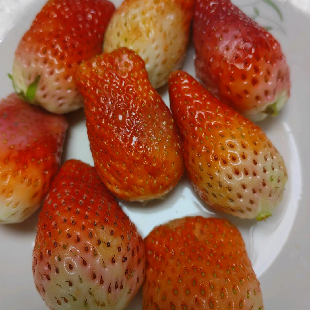 我旳一生有你