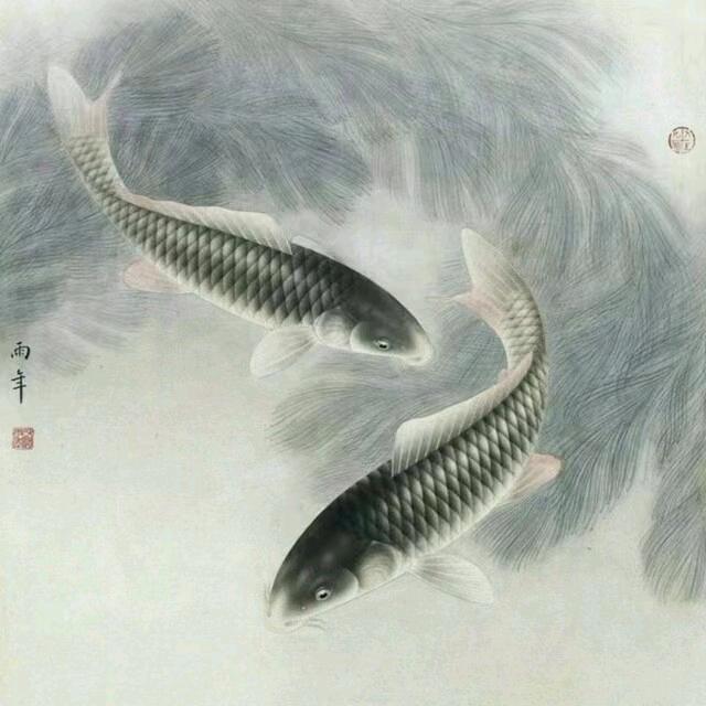 鱼魚
