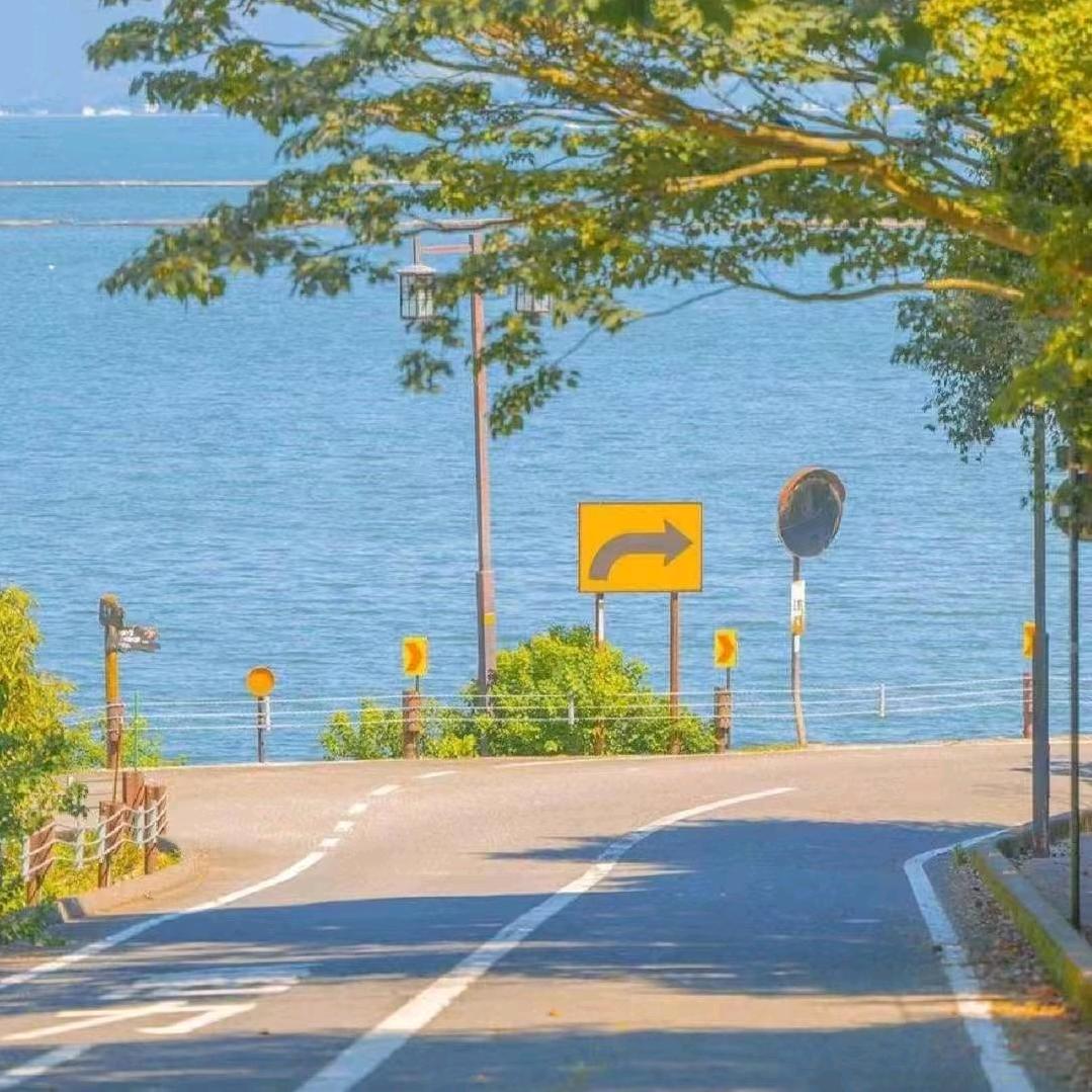 紫去东来
