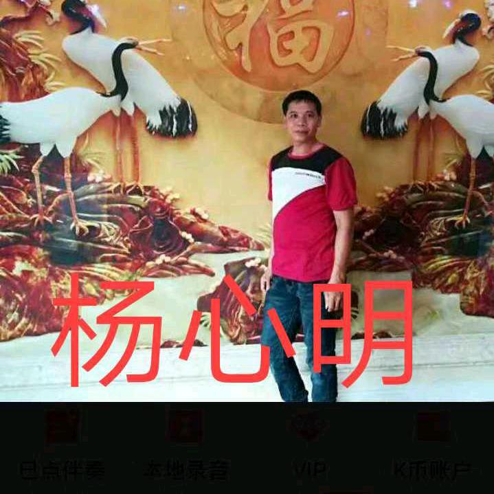 杨二哥