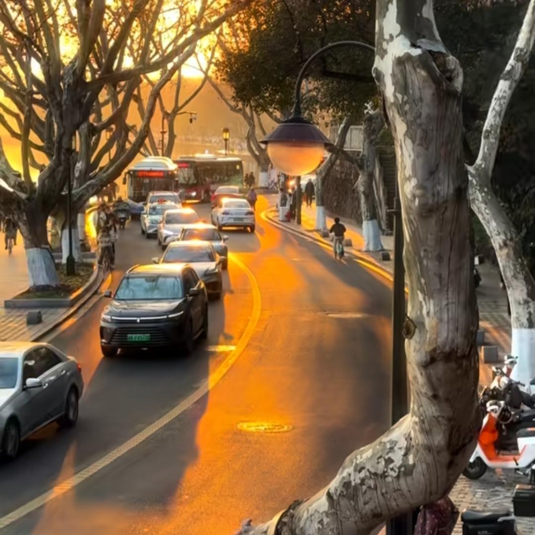 多次拒绝刘亦菲