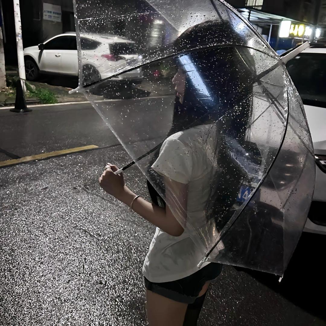 喵耳仆