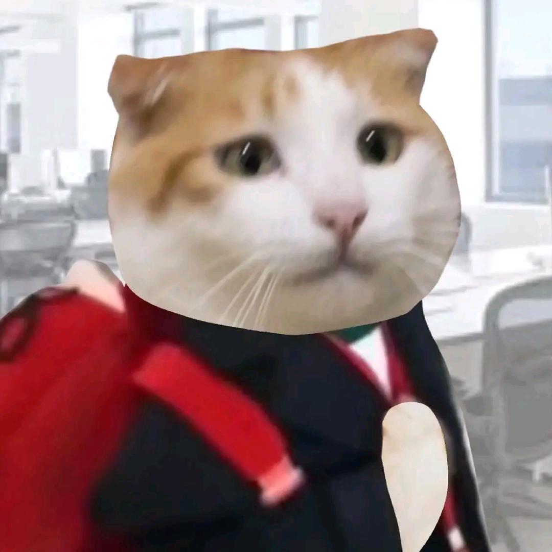 miaomiao:D头像