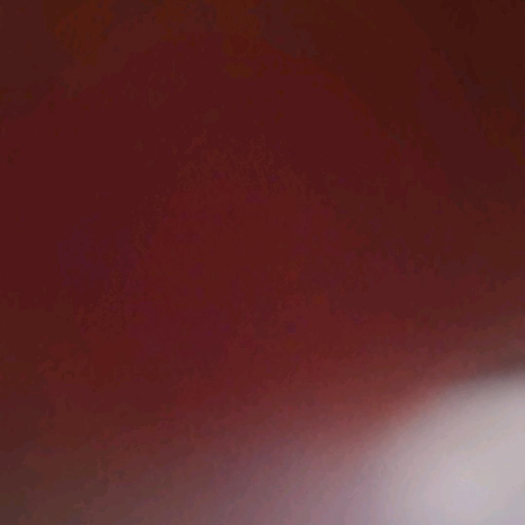 蛋仔