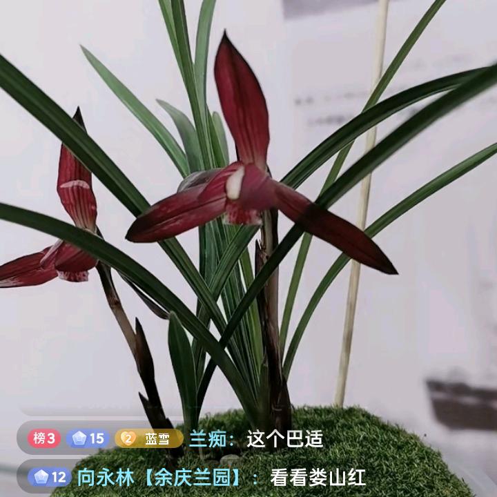 人难做灬灬心难懂