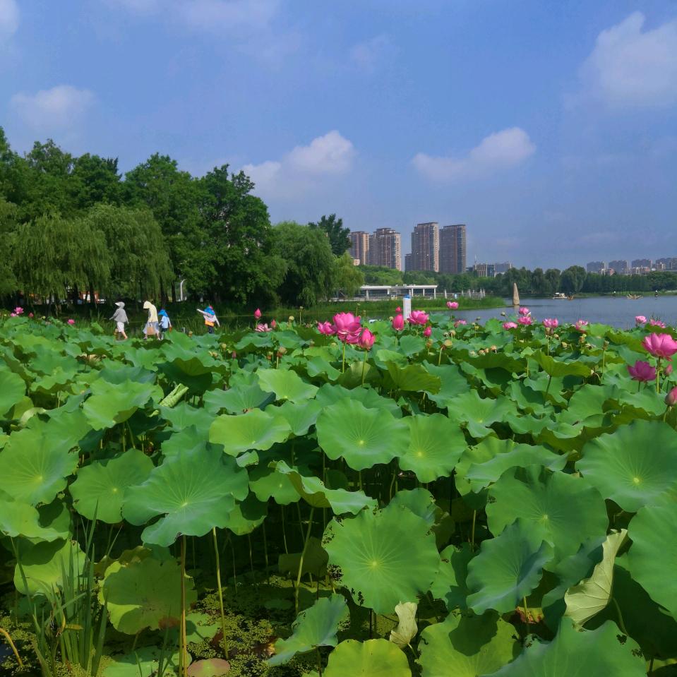 🌞健康&是福🍎