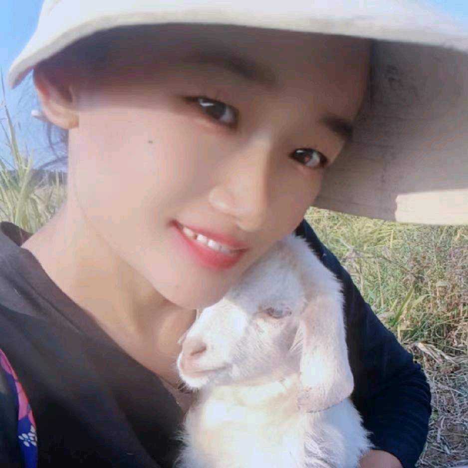 🐏羊光明媚🐏