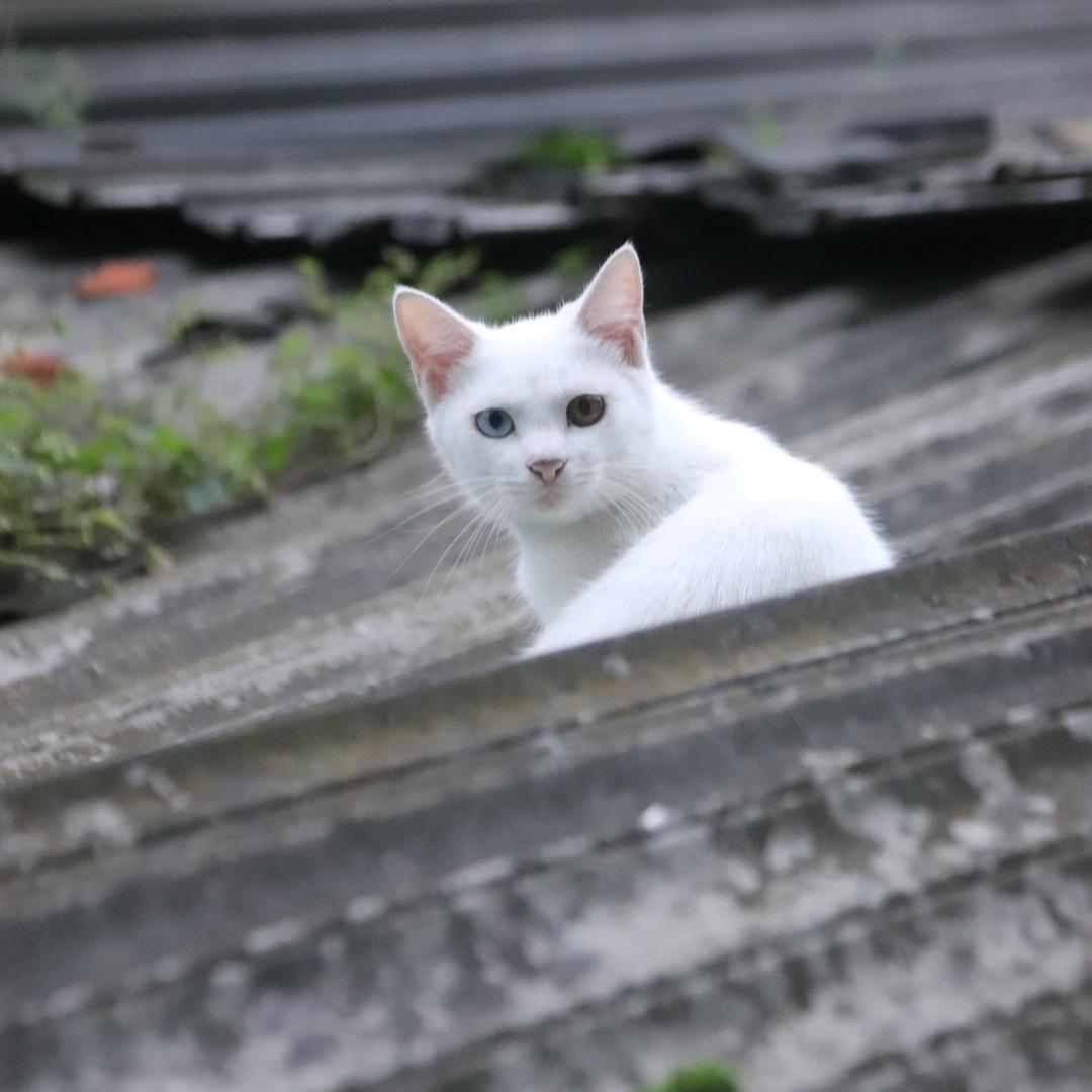 你一个人在这干什么