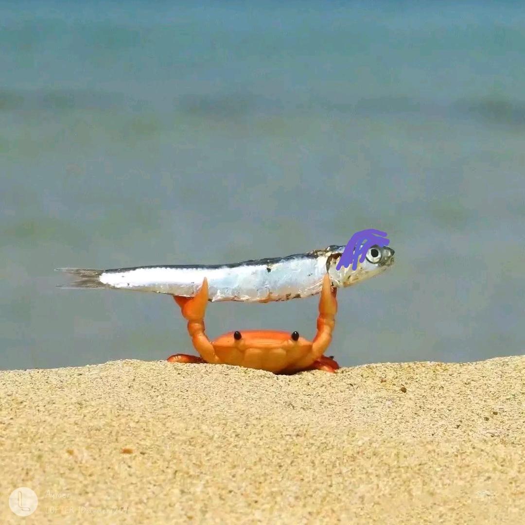 麻瓜隔离星球𓆞