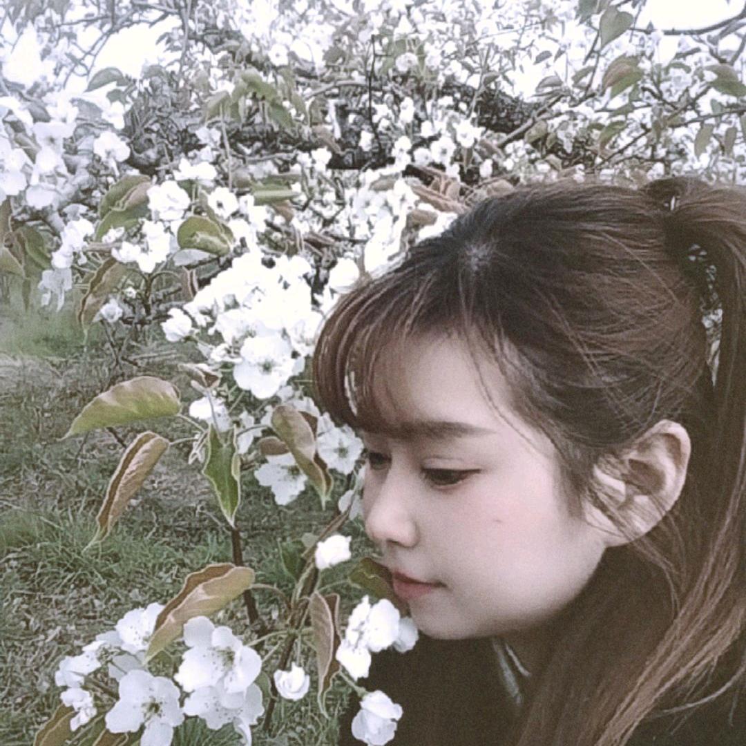 维也纳泌阳国宴店（小张）