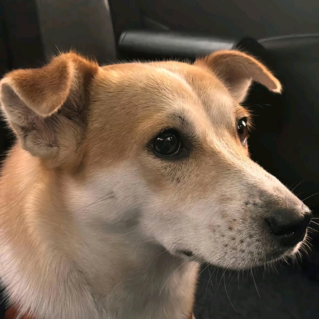 美魅没眉（见过十勤版）