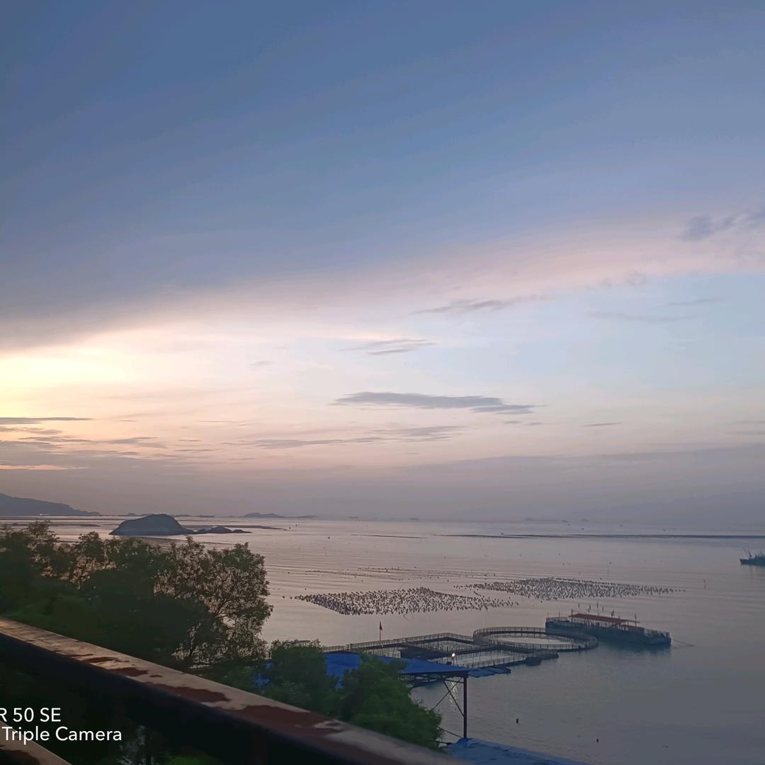 阿庆