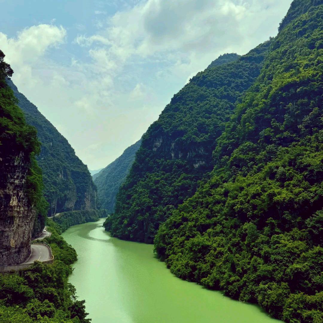 🦋꧔ꦿ᭄💞勇毅前行💕 ❧⁵²⁰