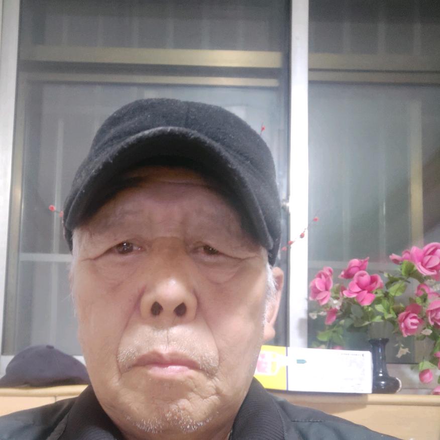 一棵红心向太阳