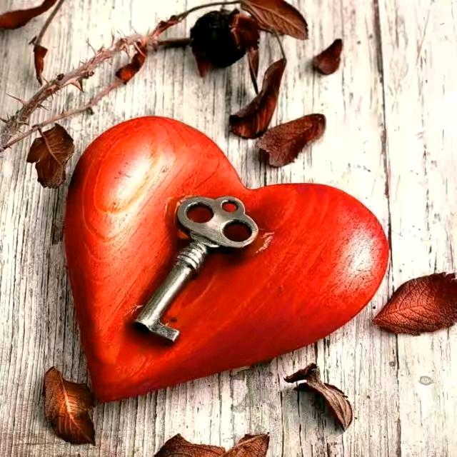 👉💦孤独💦👈