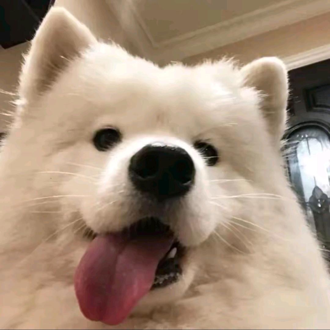 凯迪不拉客