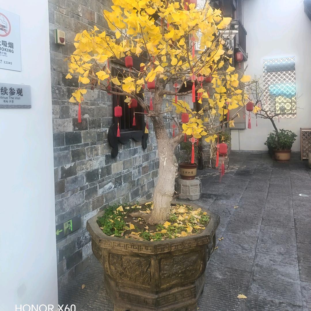 @安杰