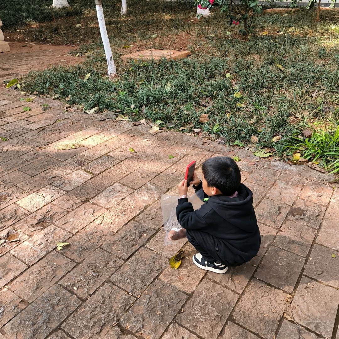 叮咚鸡