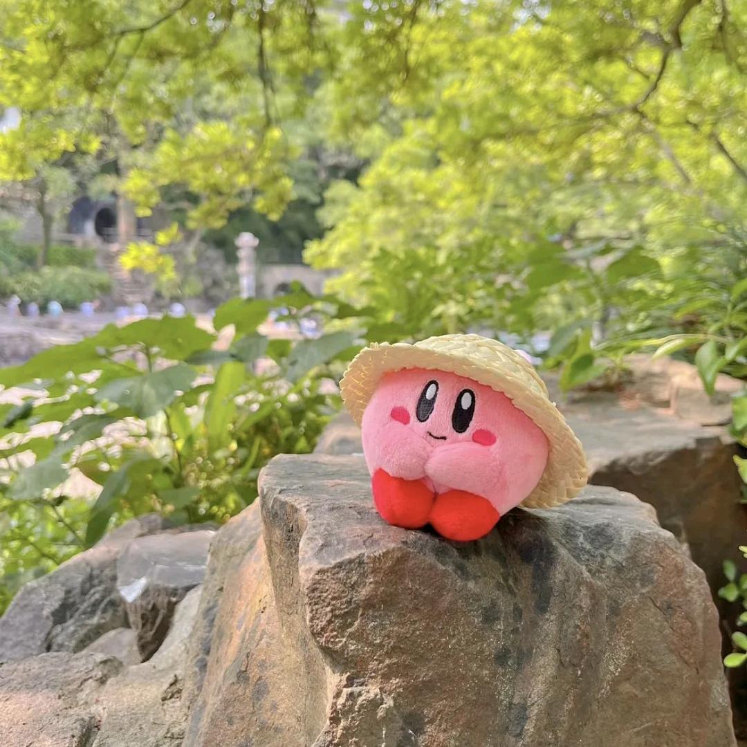 念念的花园🌷